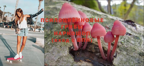 твердый Балахна